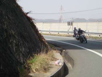 DSC00502