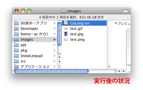 Go言語を使ったプログラムの実行結果