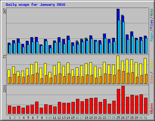 Daily usage for January 2016