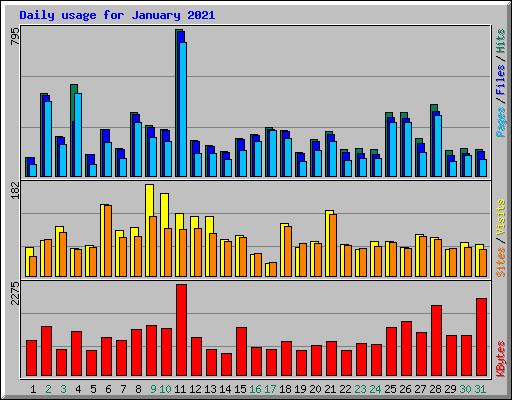 Daily usage for January 2021