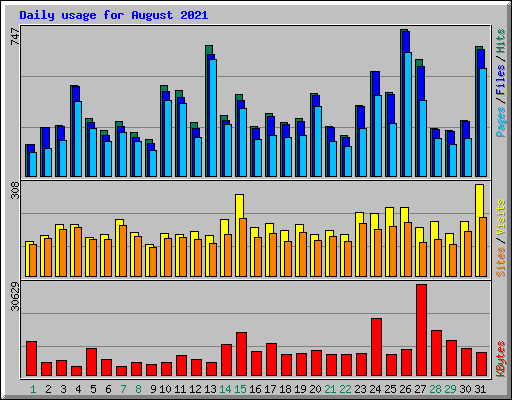 Daily usage for August 2021