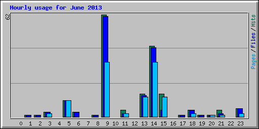 Hourly usage for June 2013