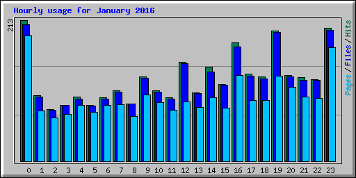 Hourly usage for January 2016