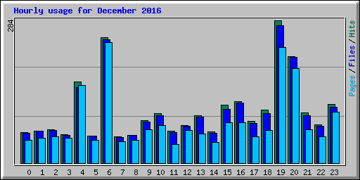 Hourly usage for December 2016