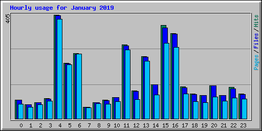 Hourly usage for January 2019