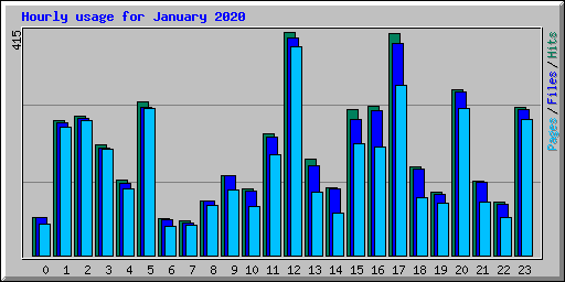 Hourly usage for January 2020