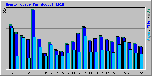 Hourly usage for August 2020