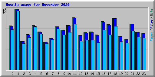 Hourly usage for November 2020