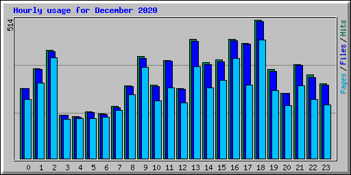 Hourly usage for December 2020