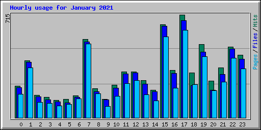 Hourly usage for January 2021