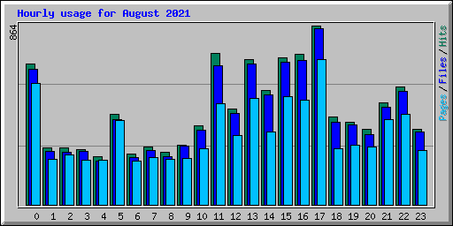 Hourly usage for August 2021