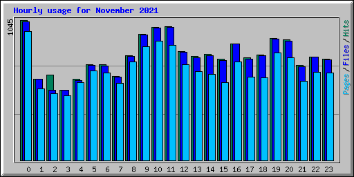 Hourly usage for November 2021