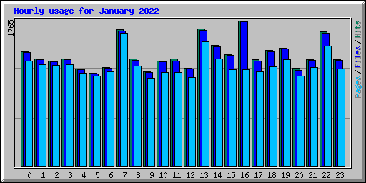 Hourly usage for January 2022