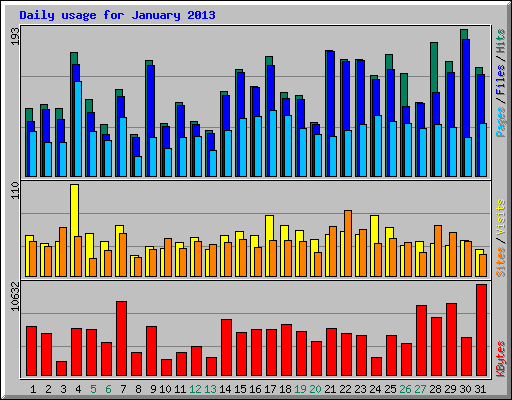 Daily usage for January 2013