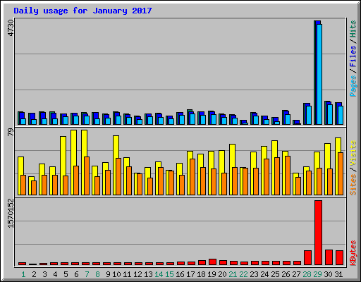 Daily usage for January 2017