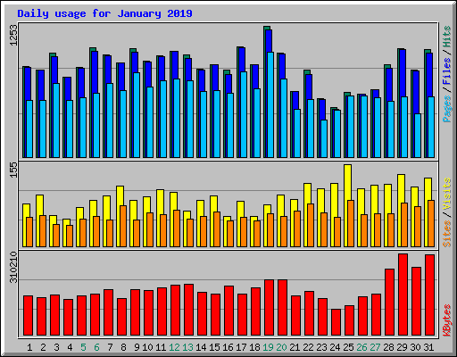 Daily usage for January 2019