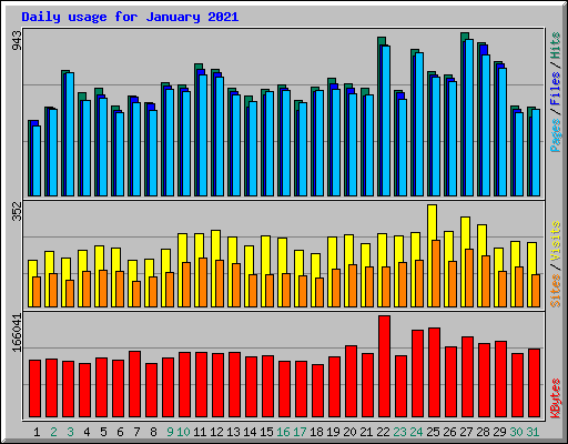 Daily usage for January 2021