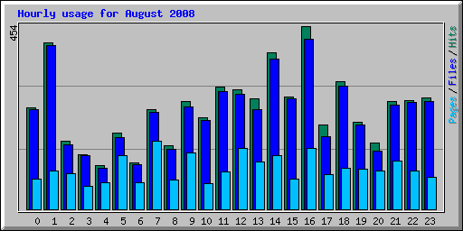 Hourly usage for August 2008