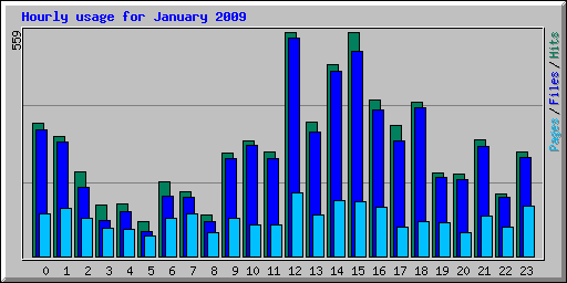 Hourly usage for January 2009