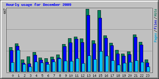 Hourly usage for December 2009