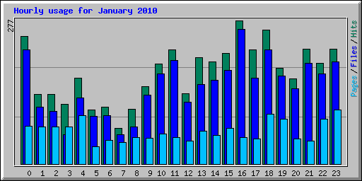 Hourly usage for January 2010