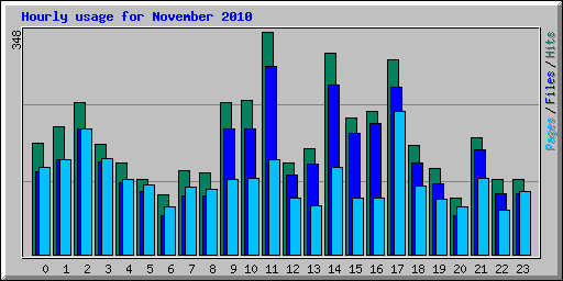 Hourly usage for November 2010