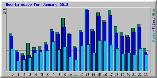 Hourly usage for January 2013