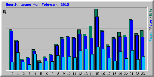 Hourly usage for February 2013