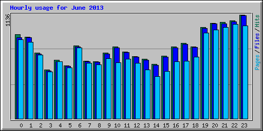 Hourly usage for June 2013