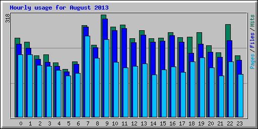 Hourly usage for August 2013