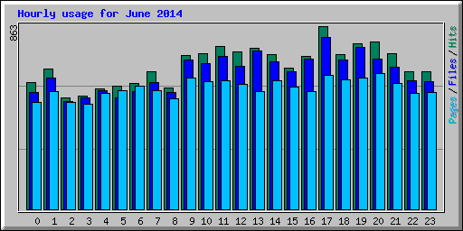 Hourly usage for June 2014