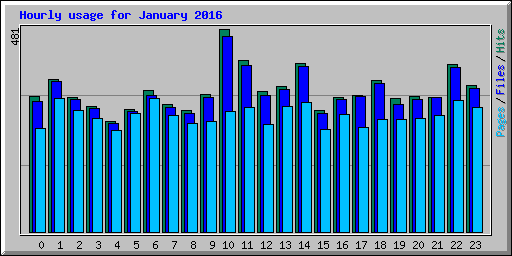 Hourly usage for January 2016