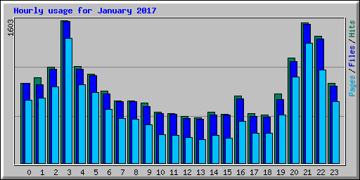 Hourly usage for January 2017