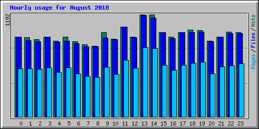 Hourly usage for August 2018