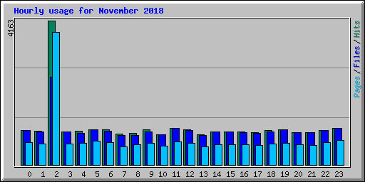 Hourly usage for November 2018