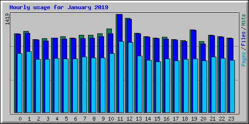 Hourly usage for January 2019