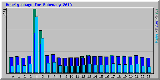 Hourly usage for February 2019