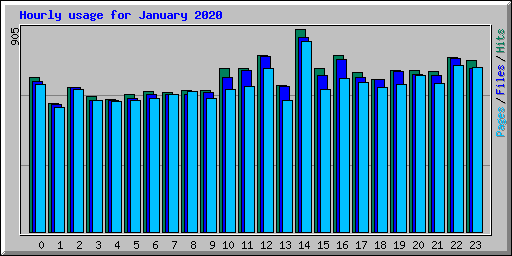 Hourly usage for January 2020