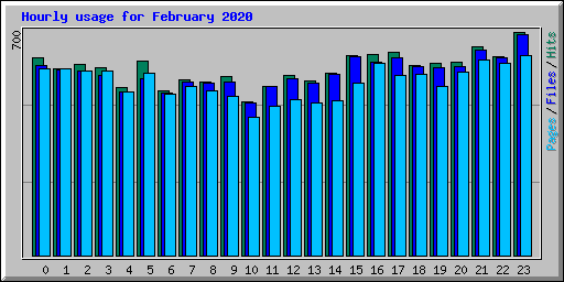 Hourly usage for February 2020