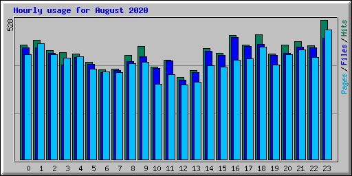 Hourly usage for August 2020