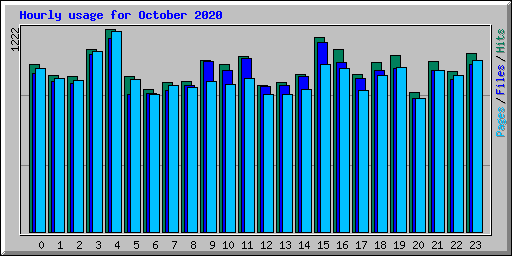 Hourly usage for October 2020