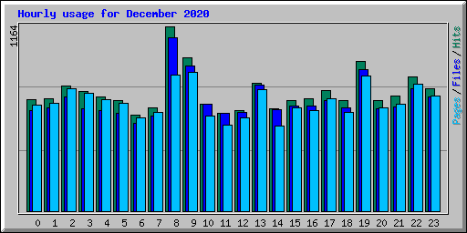 Hourly usage for December 2020