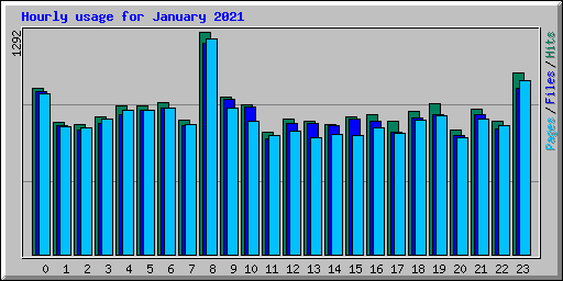 Hourly usage for January 2021