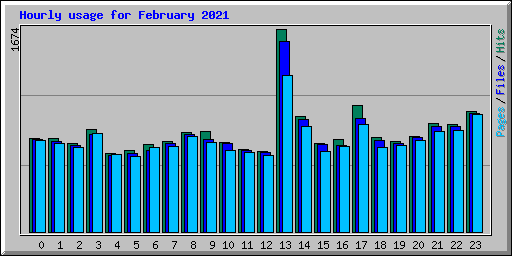 Hourly usage for February 2021