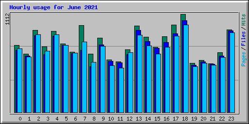 Hourly usage for June 2021