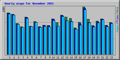 Hourly usage for November 2021