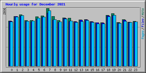 Hourly usage for December 2021