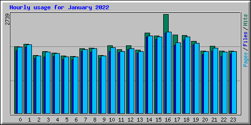 Hourly usage for January 2022