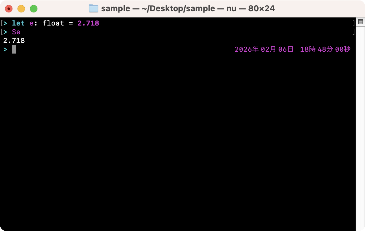 変数の型を指定して代入する