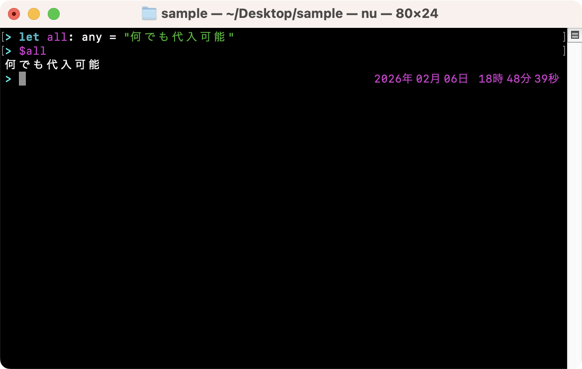 変数の型を指定して代入する